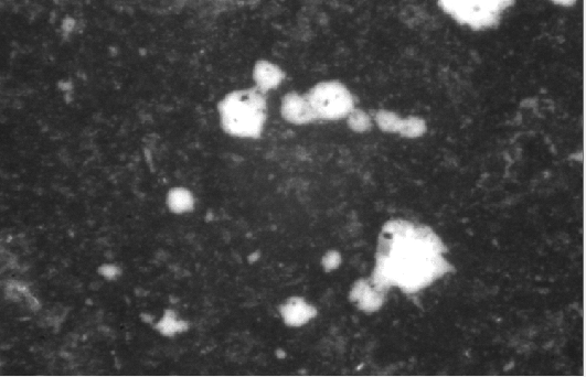 1647918257609048.png 圖片9.png